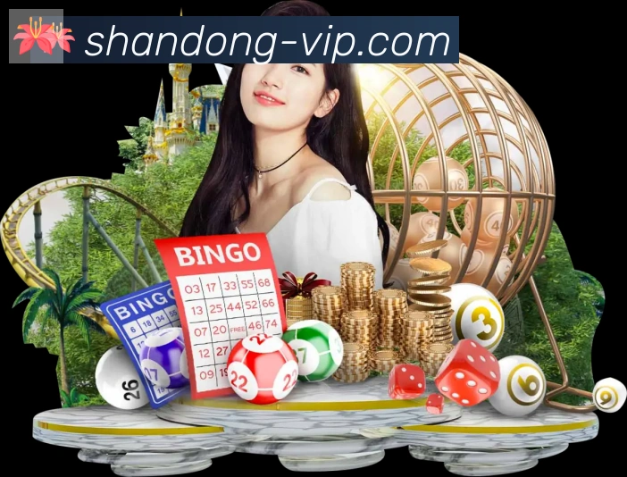 山东体彩平台生态图