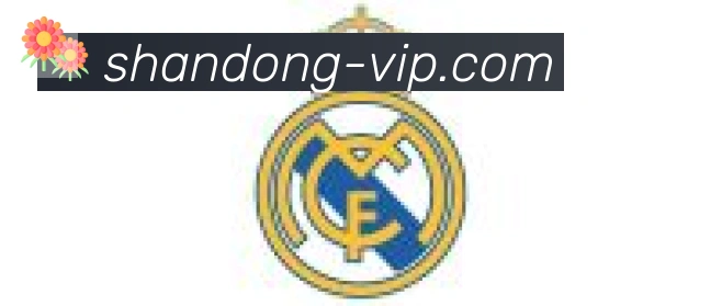 山东体彩合作伙伴